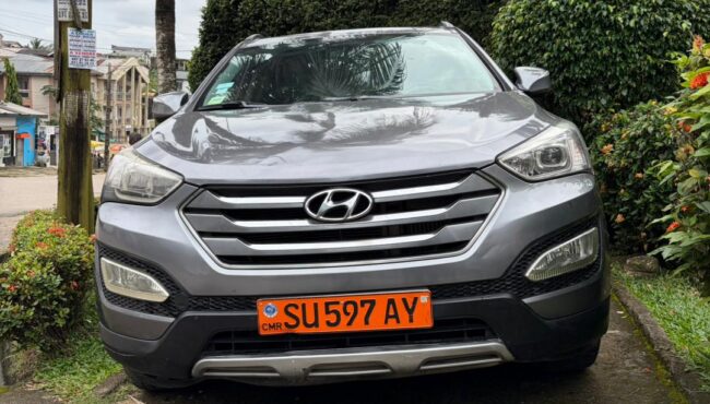 WhatsApp Image 2025-11-17 at 2.43.25 AM (1)