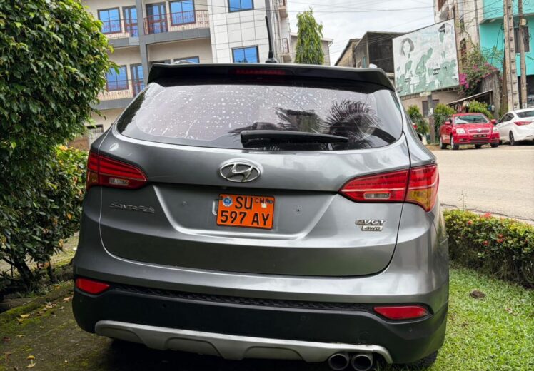 WhatsApp Image 2025-11-17 at 2.43.25 AM