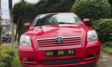 WhatsApp Image 2025-11-17 at 2.44.03 AM