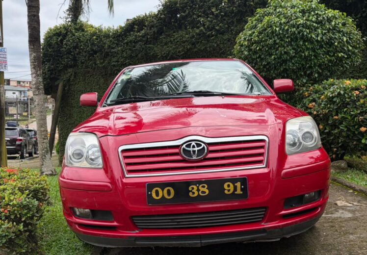 WhatsApp Image 2025-11-17 at 2.44.03 AM